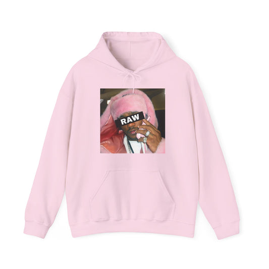 Raw+Sushi "killa cam" Heavy Blend™ Hooded Sweatshirt PINK