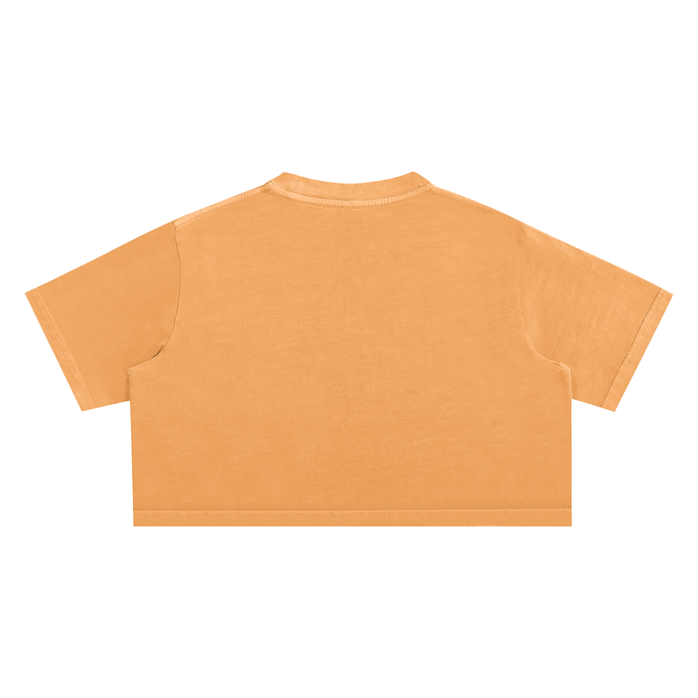 Raw+Sushi "denver" Snow Washed Crop Top